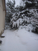 IMG_3192.JPG Thu Jan  1 15:54:06 2004