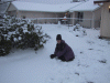 IMG_3201.JPG Thu Jan  1 16:16:30 2004