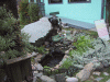 IMG_4319.JPG Thu Jun 23 09:39:42 2005