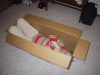 IMG_4714.JPG Mon Dec  5 21:44:22 2005