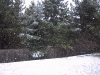 IMG_5292.JPG Thu Mar  9 12:37:34 2006
