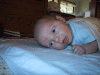 IMG_5381.JPG Thu Mar 16 15:03:46 2006