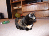 DSCF0174.JPG Thu Dec 28 11:00:00 2006