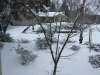DSCF0478.JPG Tue Jan 16 12:43:26 2007