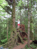 DSCF1664.JPG Sat Jun  2 14:29:50 2007
