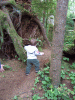 DSCF1706.JPG Sun Jun  3 07:53:05 2007