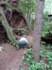 DSCF1707.JPG Sun Jun  3 07:53:08 2007