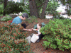 BM_0965.JPG Fri Jun 29 16:15:50 2007