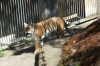 BM_1008.JPG Wed Jul  4 12:11:29 2007