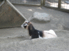 KEATON_0396.JPG Thu Jul 12 23:37:48 2007