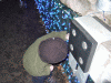 DSCF3086.JPG Sat Dec  8 18:00:00 2007