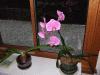 BM_3317.JPG Tue Dec 25 14:05:28 2007