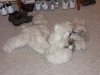 BM_3355.JPG Tue Dec 25 18:10:46 2007