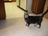BM_3541.JPG Tue Jan  1 01:56:28 2008
