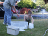 DSCF5068.JPG Sat Jun 28 17:06:34 2008