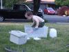 DSCF5072.JPG Sat Jun 28 17:07:34 2008