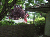 DSCF5161.JPG Fri Jul  4 07:44:52 2008