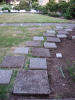 DSCF5511.JPG Sat Aug 30 17:19:50 2008