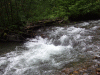B&M_4684.JPG Fri Sep 26 15:52:50 2008