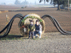 B&M_4822.JPG Sat Oct 11 09:02:02 2008