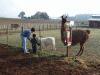 B&M_4832.JPG Sat Oct 11 09:33:08 2008