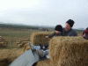 B&M_4848.JPG Sat Oct 11 09:48:40 2008