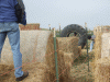 B&M_4856.JPG Sat Oct 11 09:59:26 2008