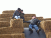 B&M_4866.JPG Sat Oct 11 10:04:08 2008