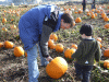 B&M_4891.JPG Sat Oct 11 10:47:38 2008