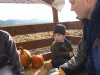 B&M_4894.JPG Sat Oct 11 10:58:02 2008