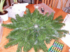 DSCF6096.JPG Sun Dec 21 19:36:06 2008