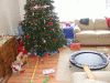 B&M_5330.JPG Thu Dec 25 12:22:22 2008