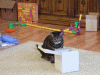 B&M_5339.JPG Thu Dec 25 14:36:24 2008