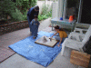 DSCF8095.JPG Sun Sep 13 17:01:08 2009