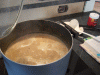 DSCF8325.JPG Sat Oct  3 16:16:56 2009