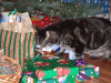 DSCF8820.JPG Thu Dec 24 20:37:30 2009