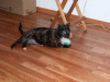 DSCF8837.JPG Thu Dec 24 20:53:46 2009