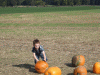 DSCF0195.JPG Sat Oct 16 13:10:22 2010