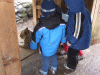 DSCF9411.JPG Mon Mar 21 09:47:04 2011