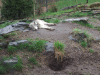 DSCF9426.JPG Mon Mar 21 12:23:44 2011