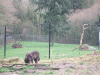 DSCF9428.JPG Mon Mar 21 12:25:44 2011