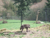 DSCF9431.JPG Mon Mar 21 12:26:30 2011