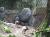 DSCF9452.JPG Mon Mar 21 13:52:12 2011