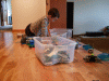DSCF1516.JPG Sat Jun 18 12:17:22 2011