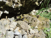 DSCF1587.JPG Sun Jul 24 12:43:22 2011