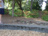 DSCF1753.JPG Sun Aug 28 17:13:16 2011