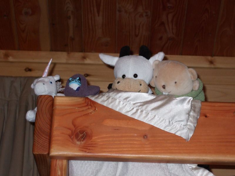 DSCF1766.JPG Fri Sep  2 19:58:08 2011
