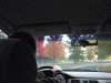 DSCF1976.JPG Mon Oct 31 07:02:04 2011