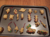 DSCF2042.JPG Sat Nov 12 16:14:12 2011