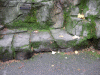 DSCF2071.JPG Sat Dec  3 12:40:32 2011
